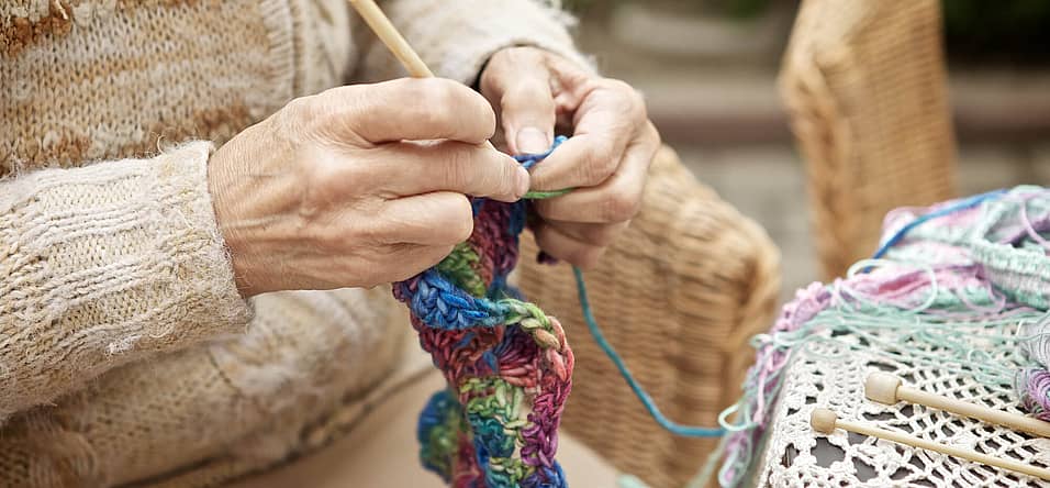 Worldwide Knit in Public Day