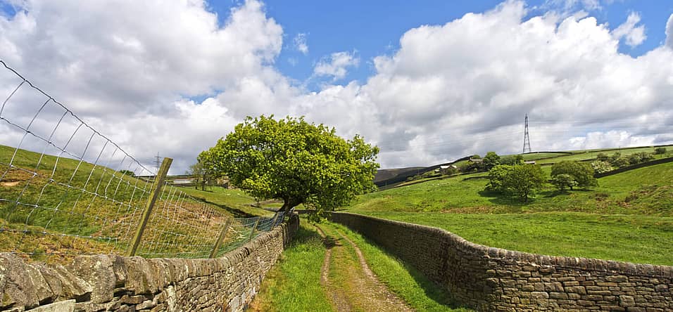 Yorkshire Day