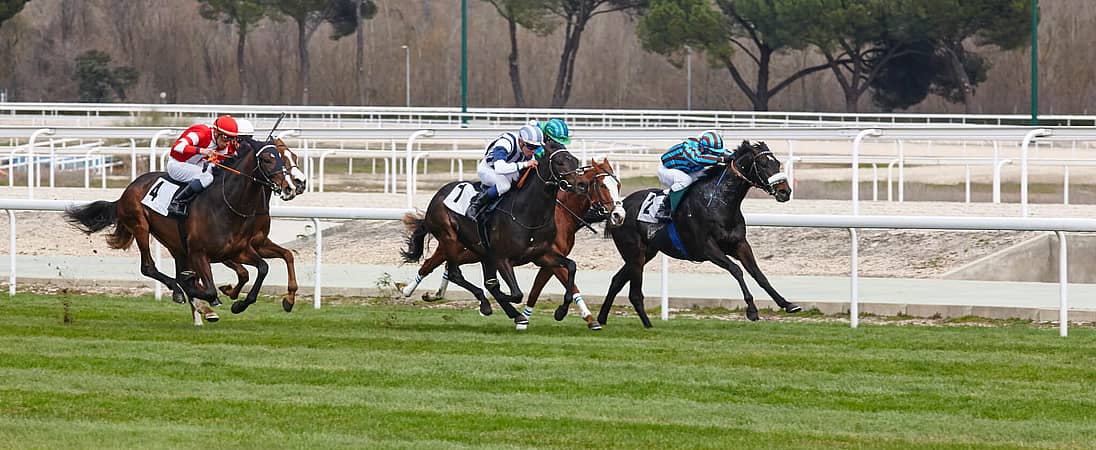 Adelaide Cup Day (March 10th, 2025) Days Of The Year