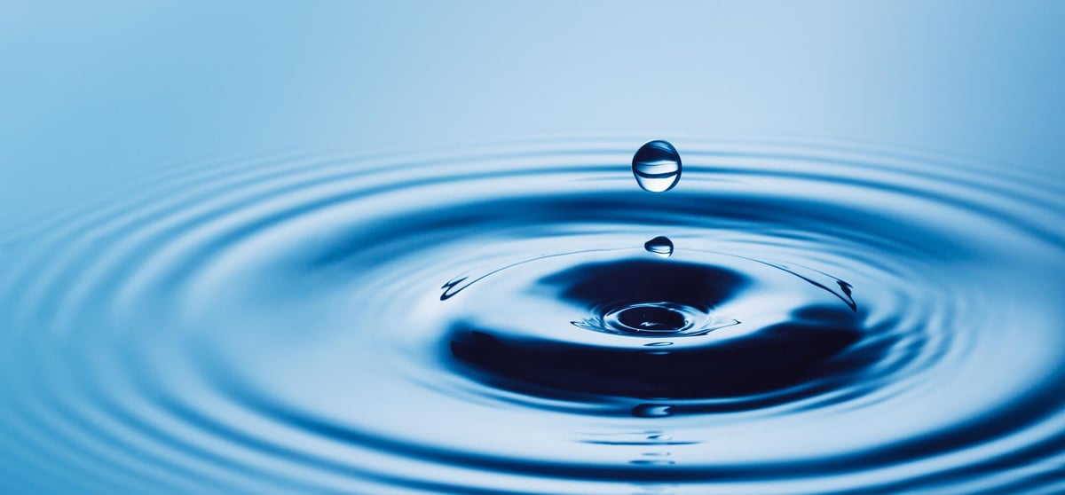 National Water Quality Month (August 2022) Days Of The Year