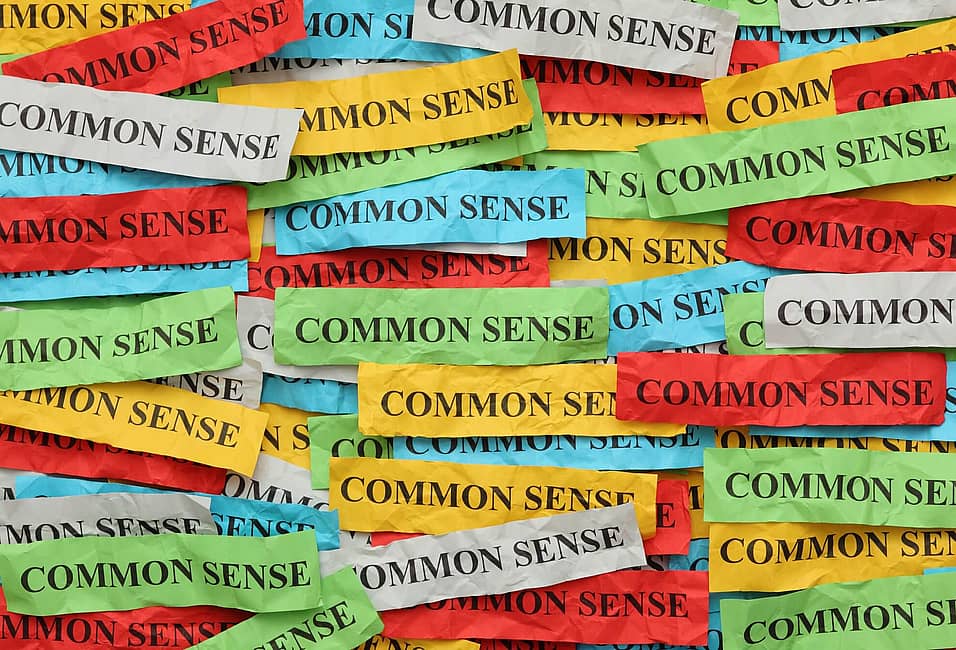 Use Your Common Sense Day (November 4th) | Days Of The Year