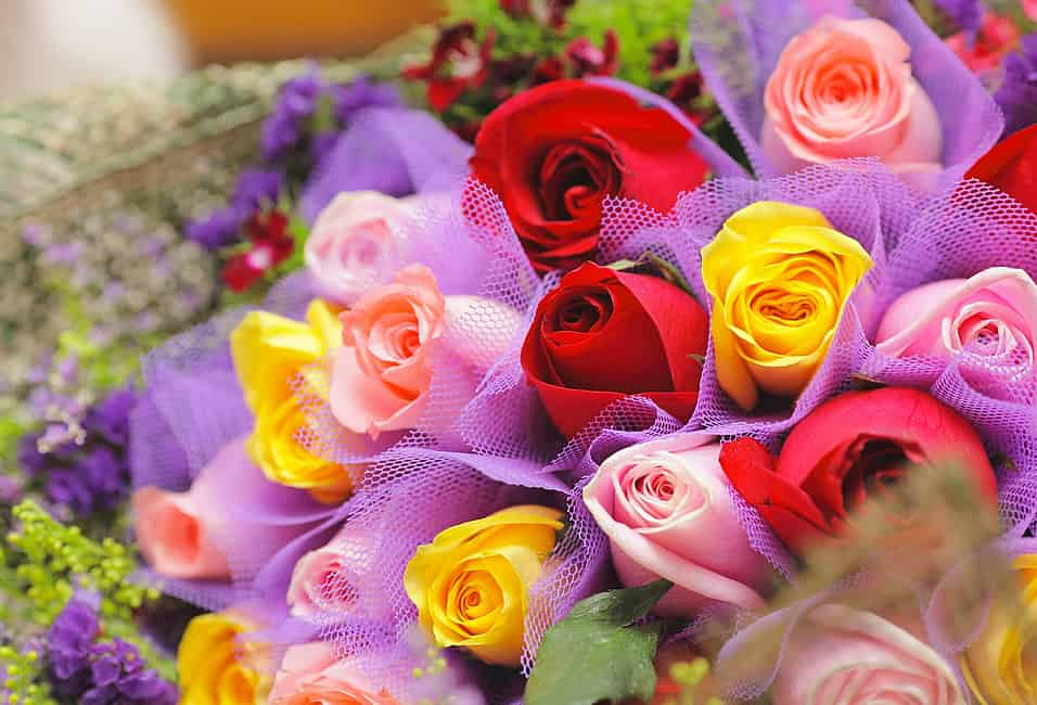 17 Rose Color Meanings to Help You Choose the Perfect Bouquet in 2024