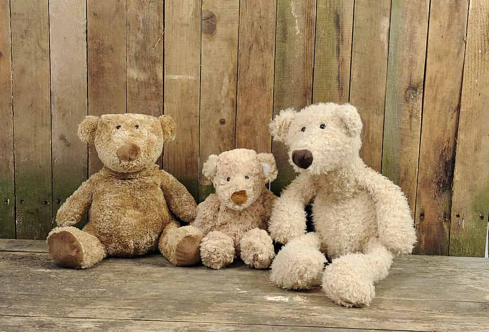 National Teddy Bear Day (September 9th)