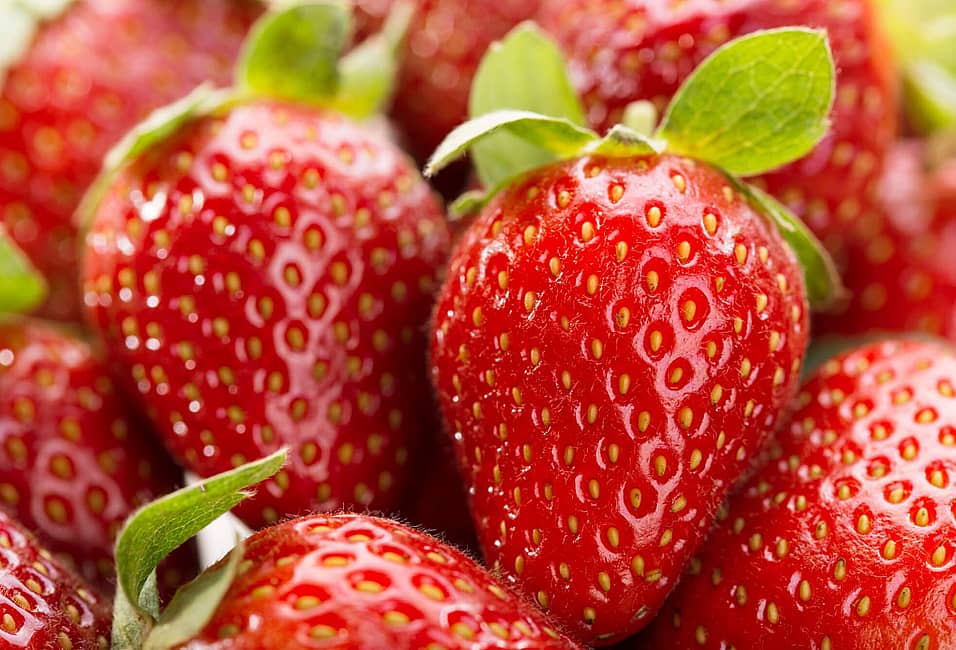 National Strawberry Day (February 27th) | Days Of The Year