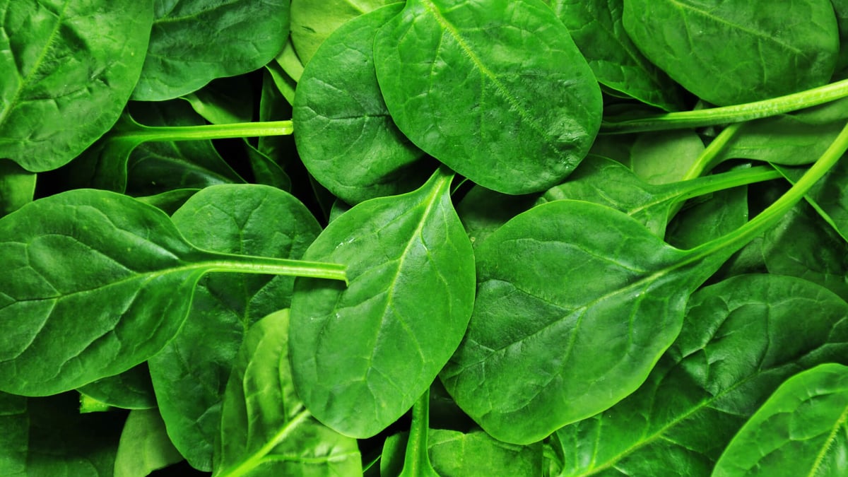 Fresh Spinach Day (July 16th) – Days Of The Year