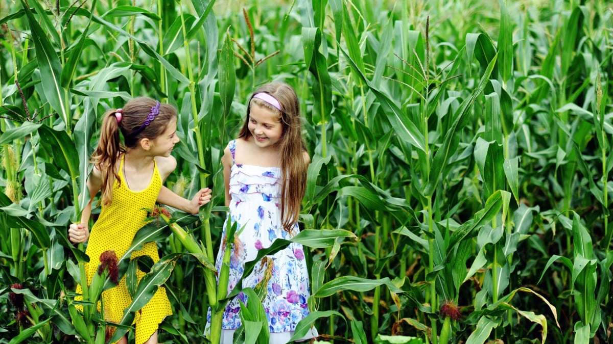 National Cousins Day (July 24th) | Days Of The Year