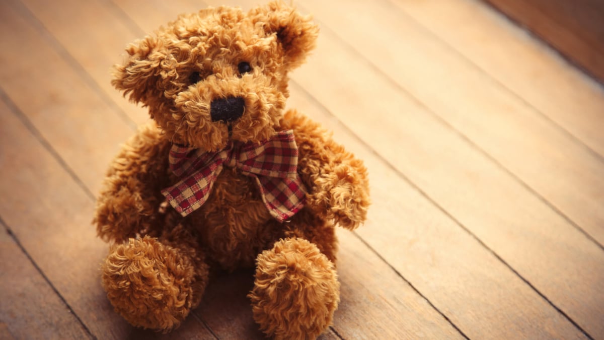 National American Teddy Bear Day (November 14th)