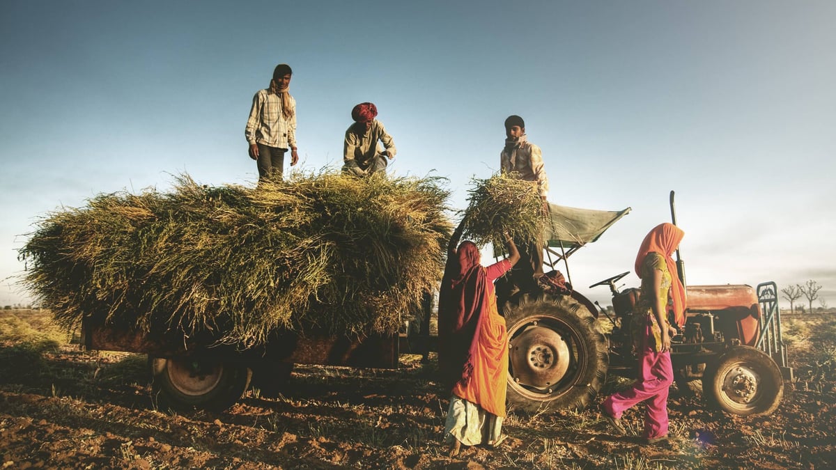 National Farm Workers Day (June 8th, 2023)