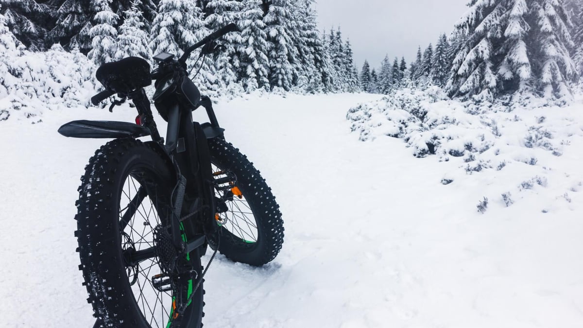 Global Fat Bike Day (December 2nd, 2023)