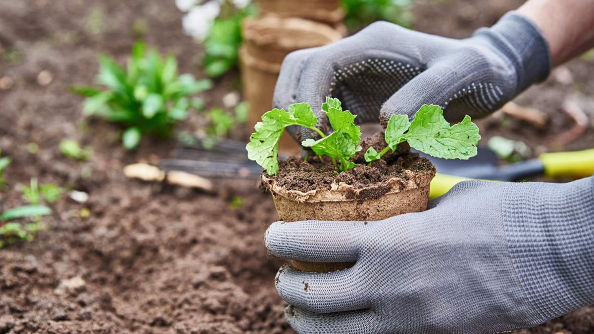 National Garden Month (April 2024) | Days Of The Year