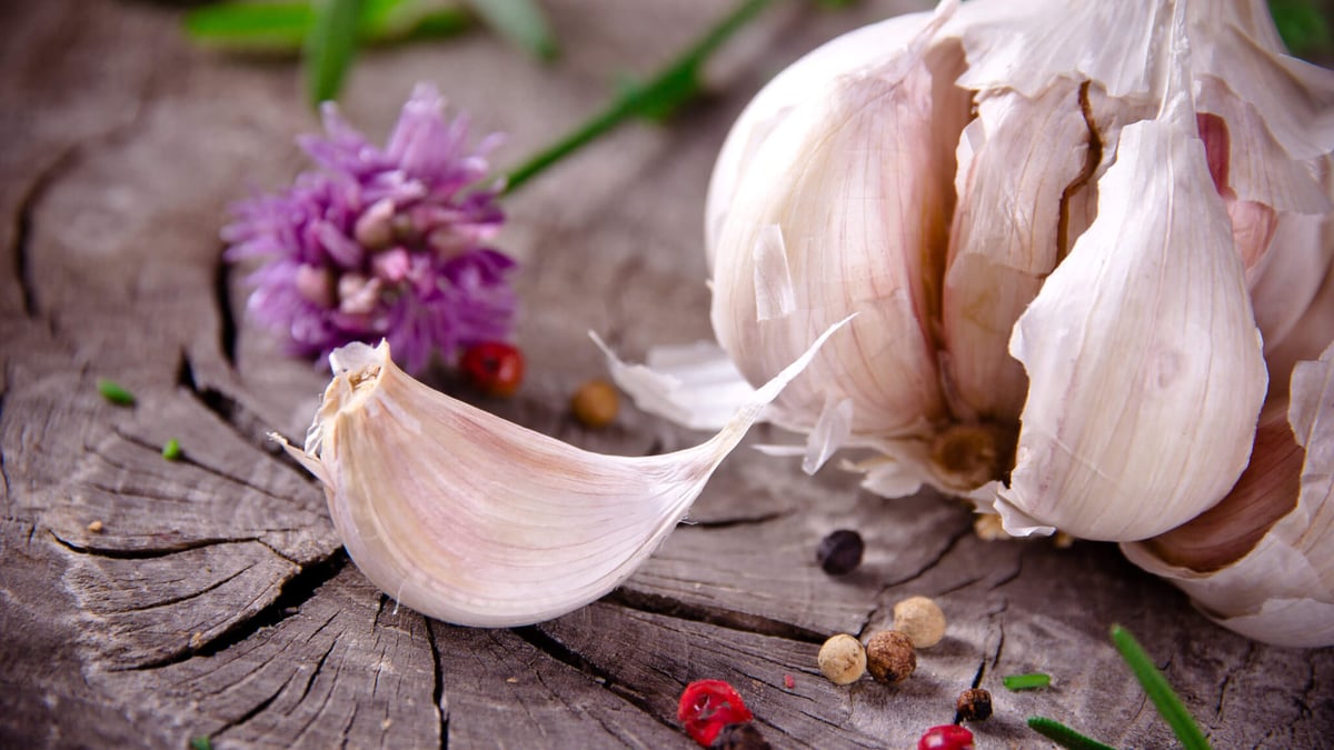 National Garlic Day (April 19th)