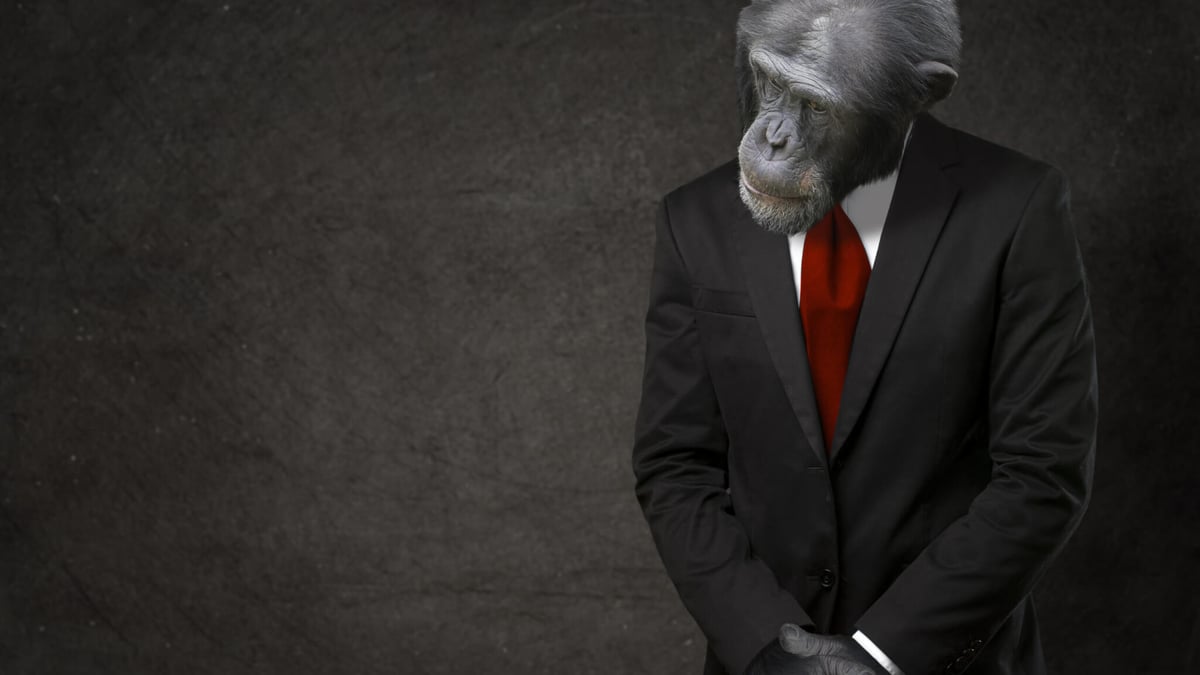 National Gorilla Suit Day (January 31st)