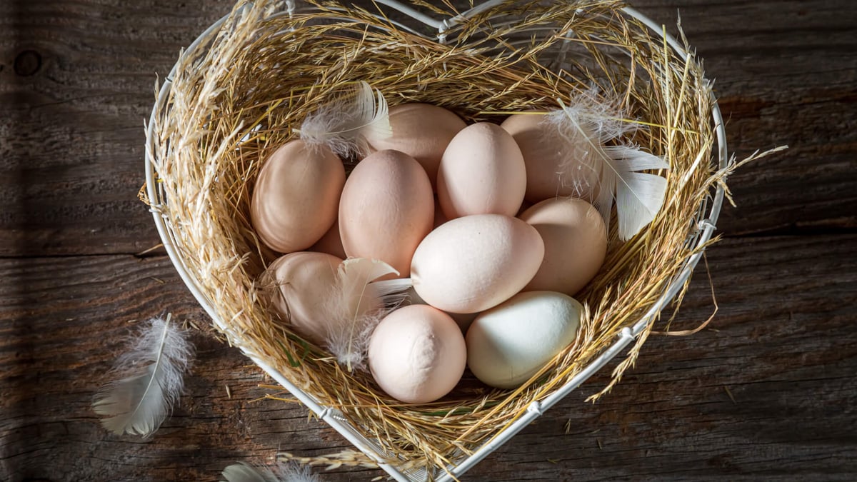 National Egg Day (June 3rd) Days Of The Year