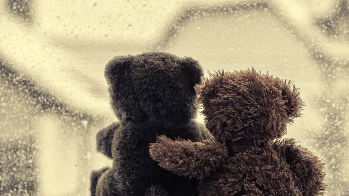 National Hug A Bear Day (November 7th)