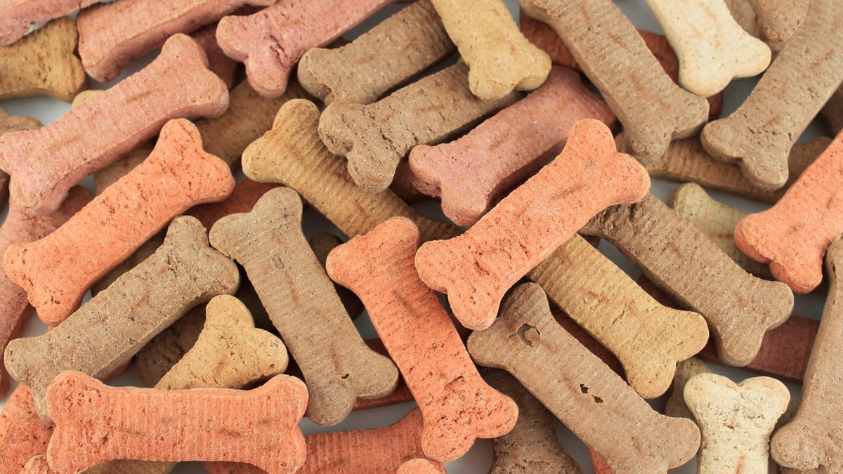 International Dog Biscuit Appreciation Day (February 23rd)
