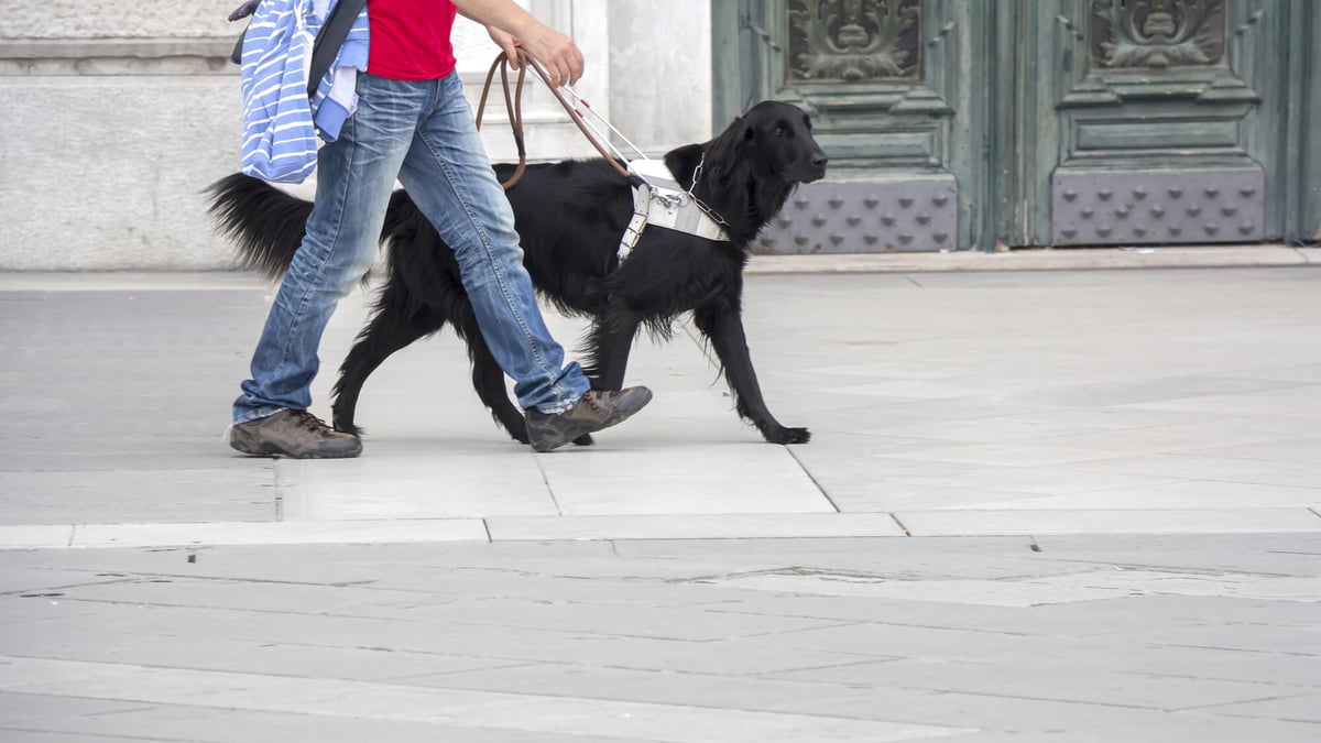 International Guide Dog Day (April 26th, 2023)