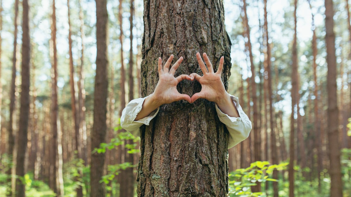National Love a Tree Day (May 16th)