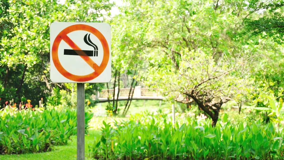 National No Smoking Day (March 11th)