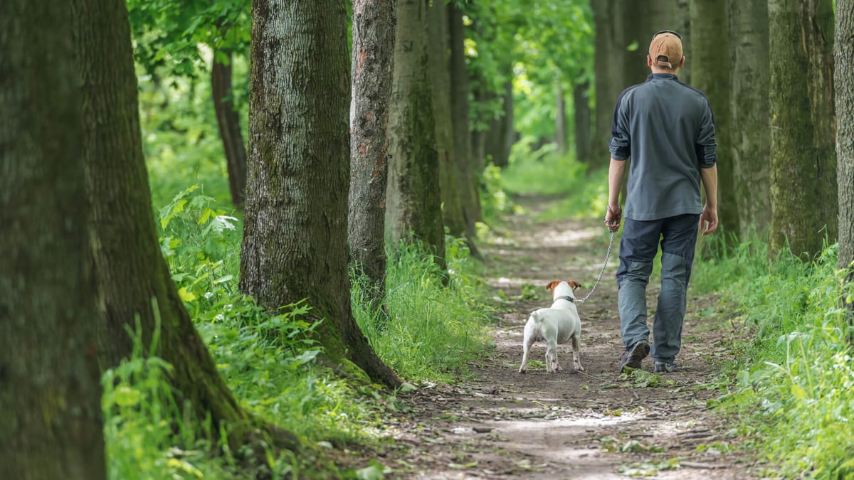 Walk Your Dog Week (Oct 1st to Oct 7th) Days Of The Year