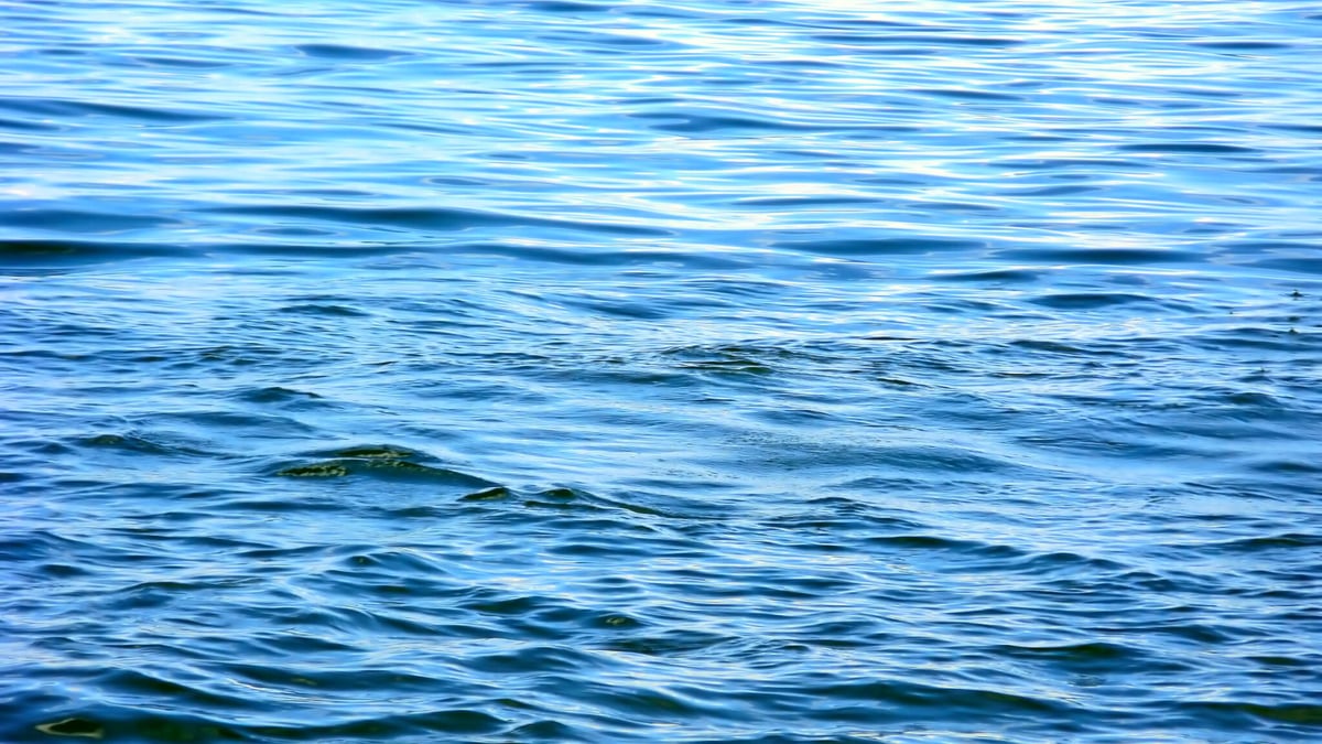 World Water Day (March 22nd)