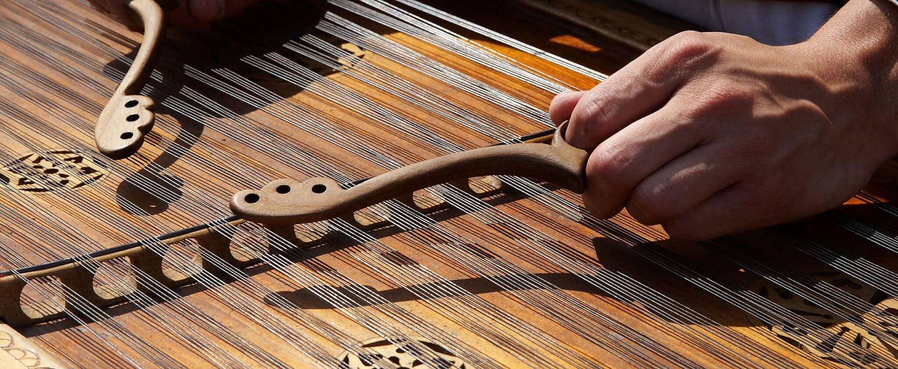 Uncommon String Instruments Uncommon Instrument Awareness Day (July 31st) | Days Of The Year