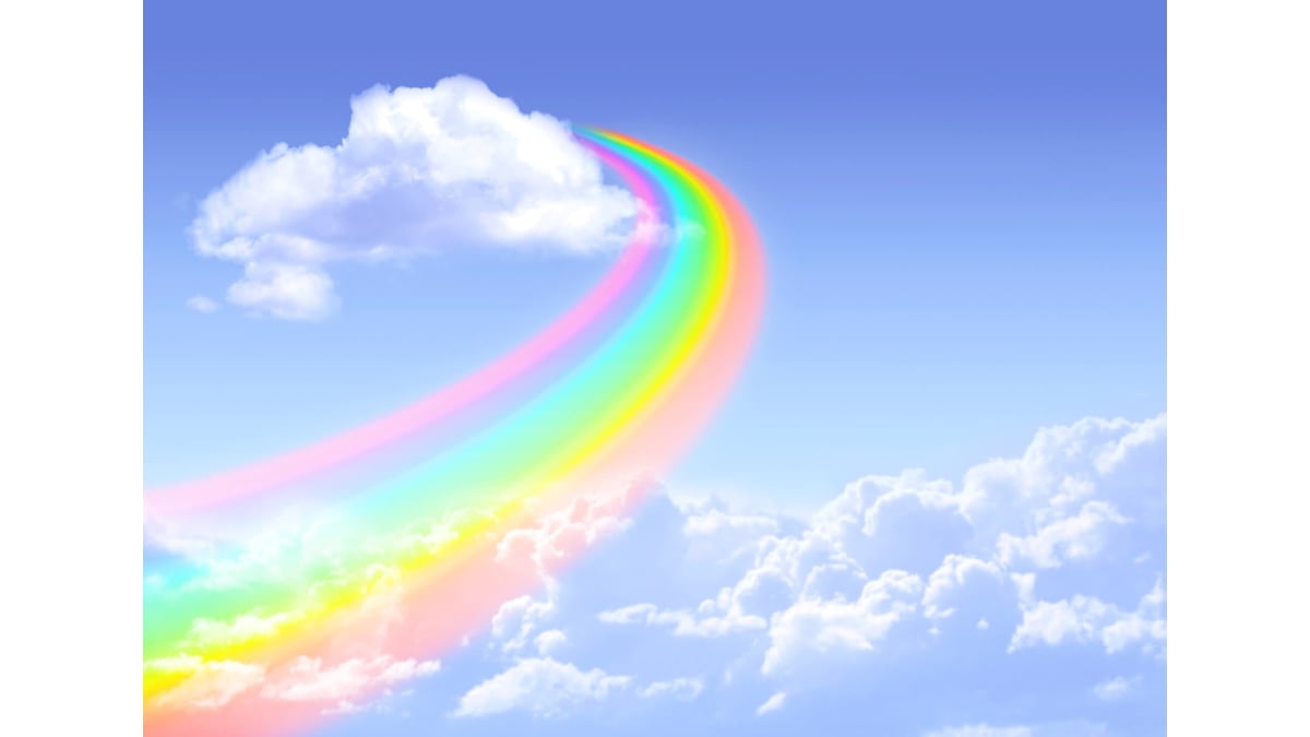 Rainbow Bridge Remembrance Day August 28th Days Of The Year