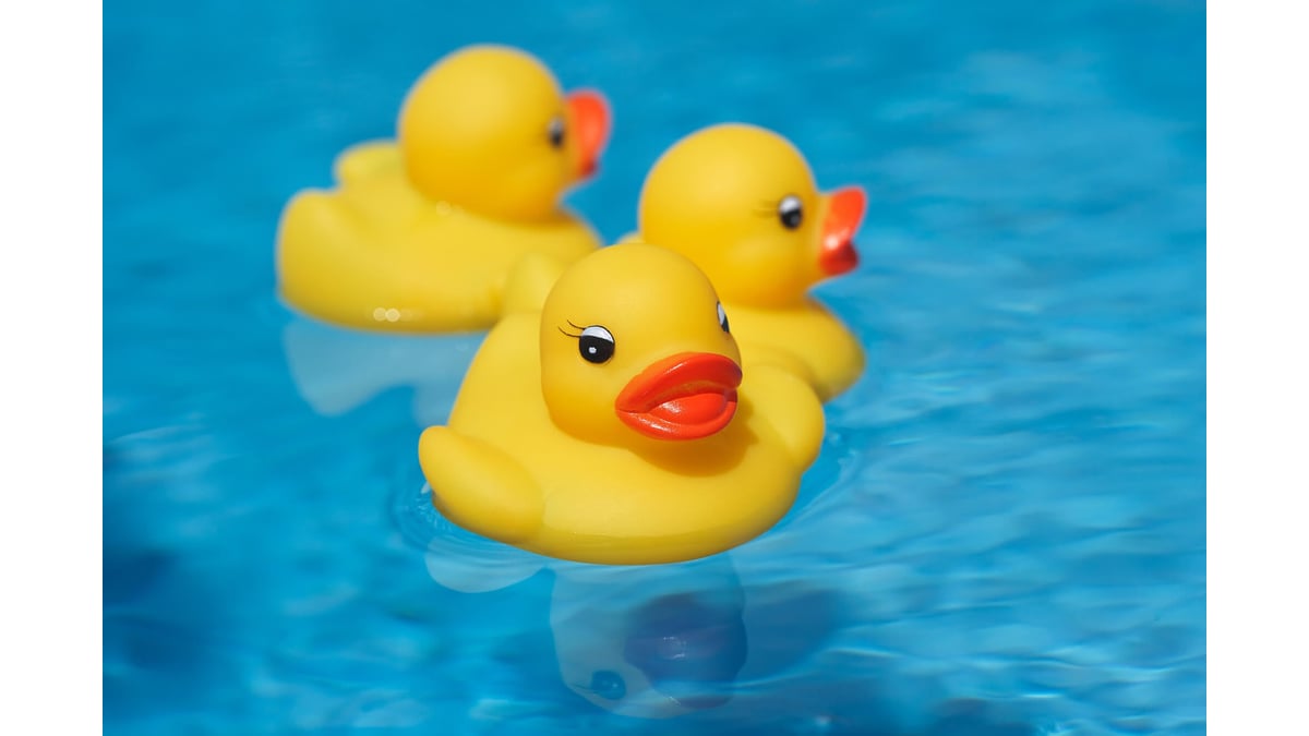 Big Rubber Duck Schedule 2022 National Rubber Ducky Day (January 13Th) – Days Of The Year
