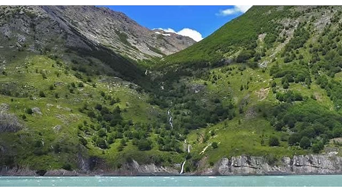 World Environment Day (June 5th)