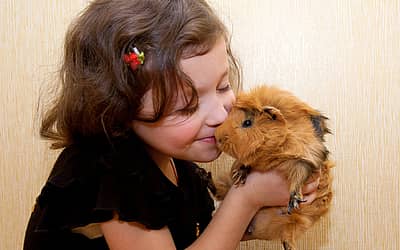 National Love Your Pet Day