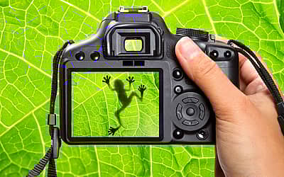 Nature Photography Day