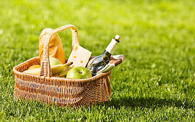 National Picnic Month