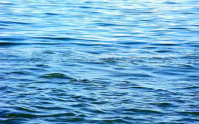 World Water Day