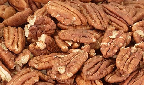 Pecan Day
