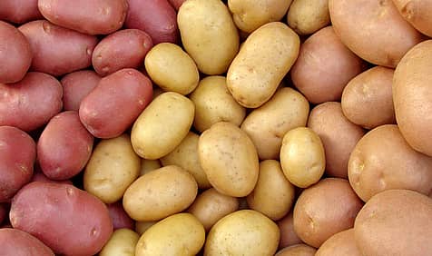 National Potato Day