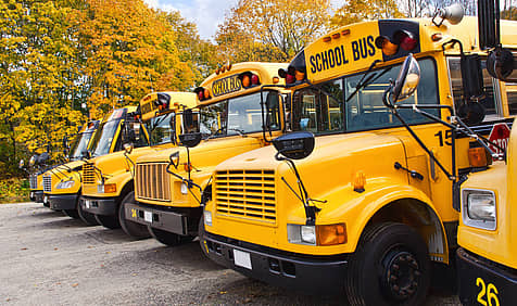School Bus Drivers Day