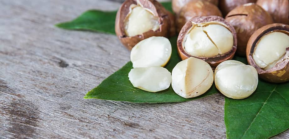 National Macadamia Nut Day