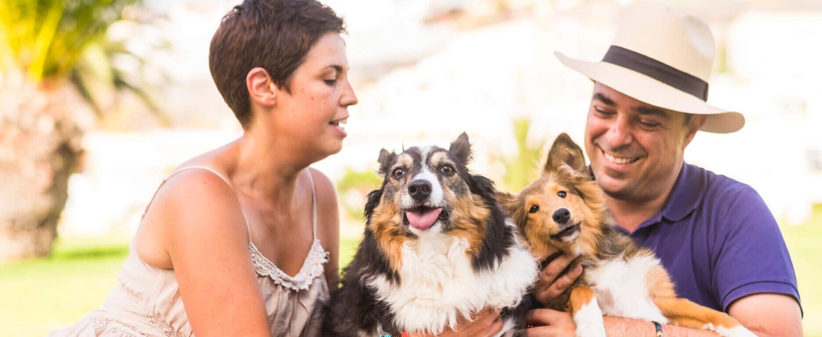Picture of National Pet Parents Day (April 27th, 2025) | Days Of The Year