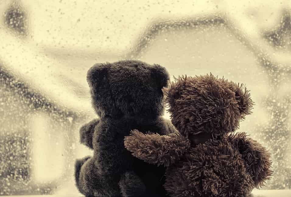 Hug teddy shop