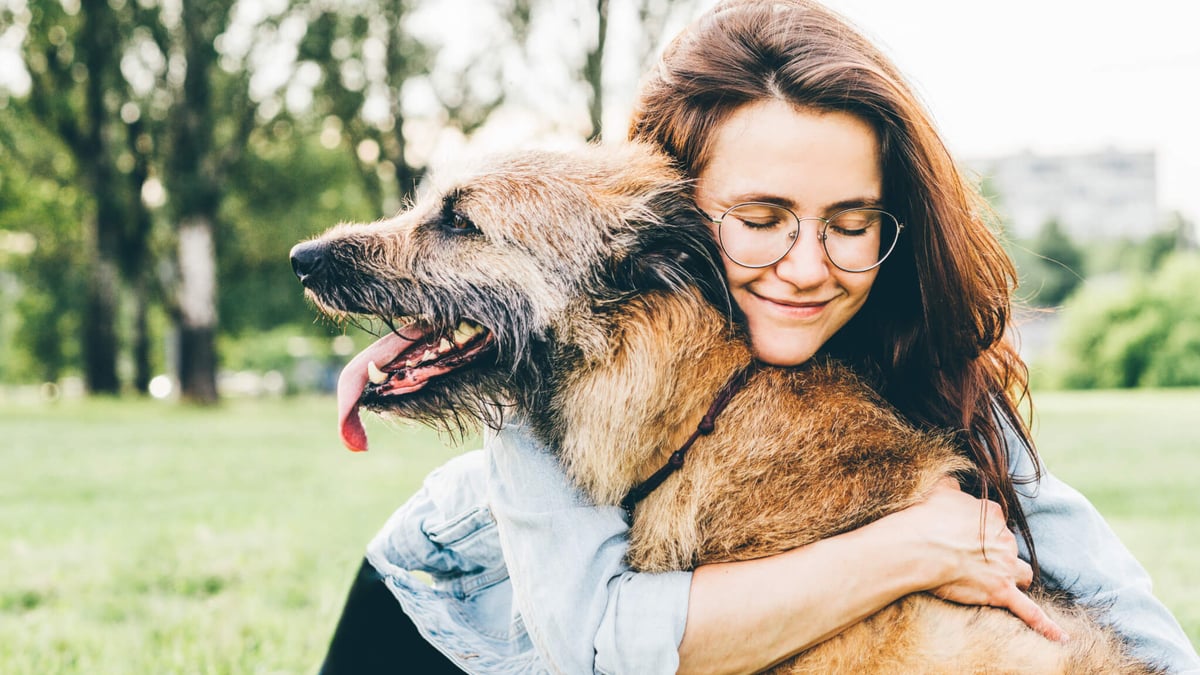 Hug dogs for sales sale