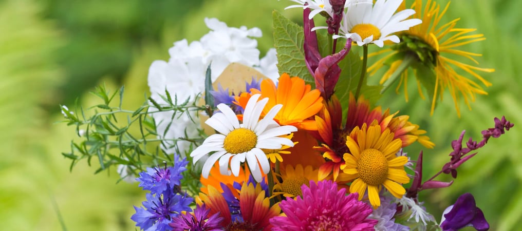 Floral Design Day (28th February) Days Of The Year