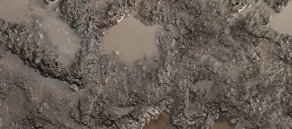 International Mud Day (29th June) Days Of The Year