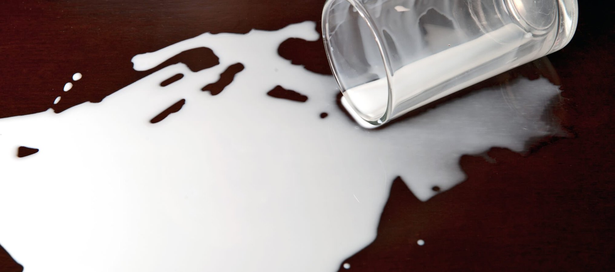 Don't Cry Over Spilled Milk Day (11th February) Days Of The Year