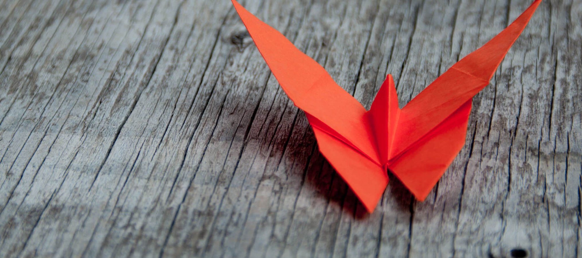 Origami Day (11th November) Days Of The Year