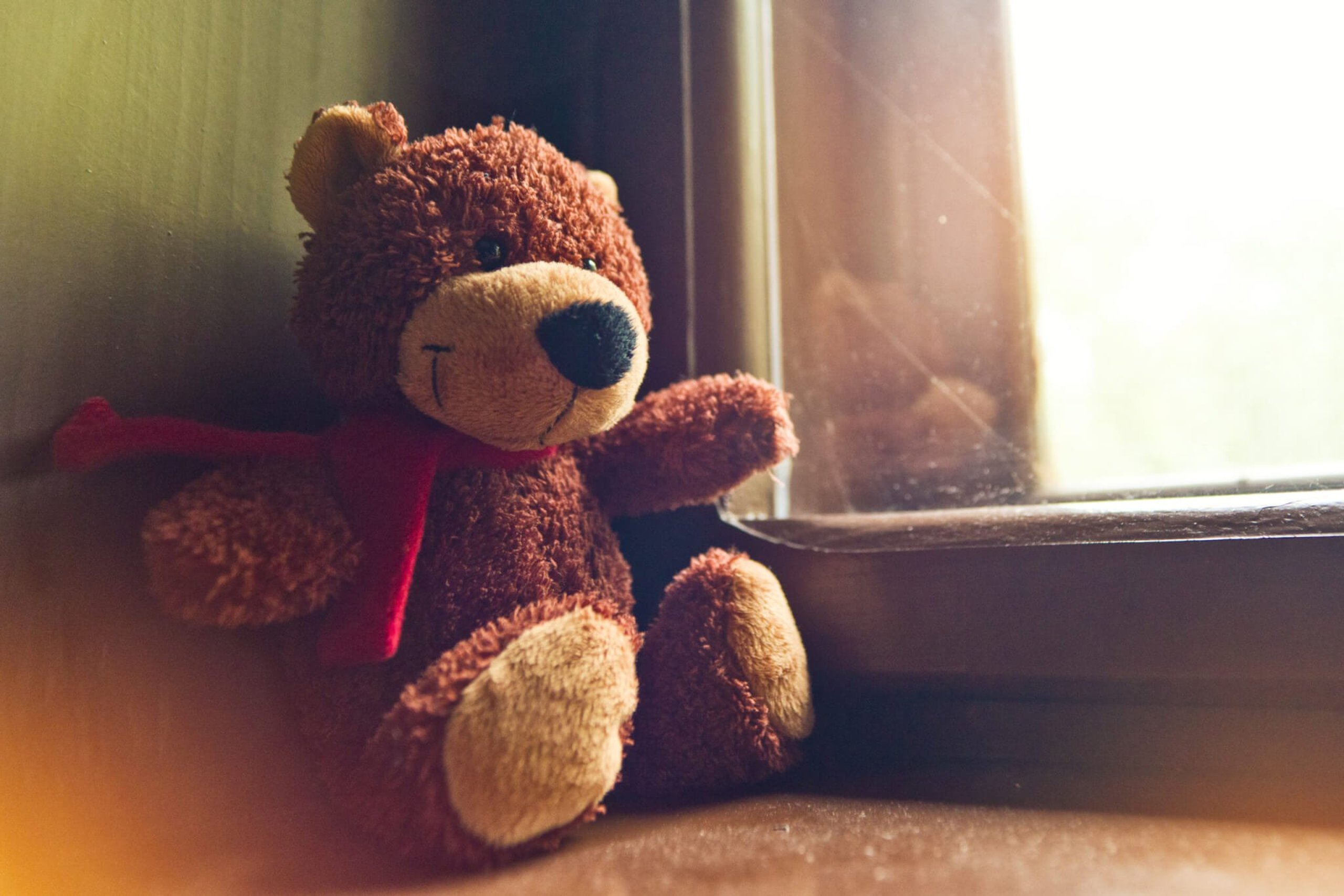 your teddy bear
