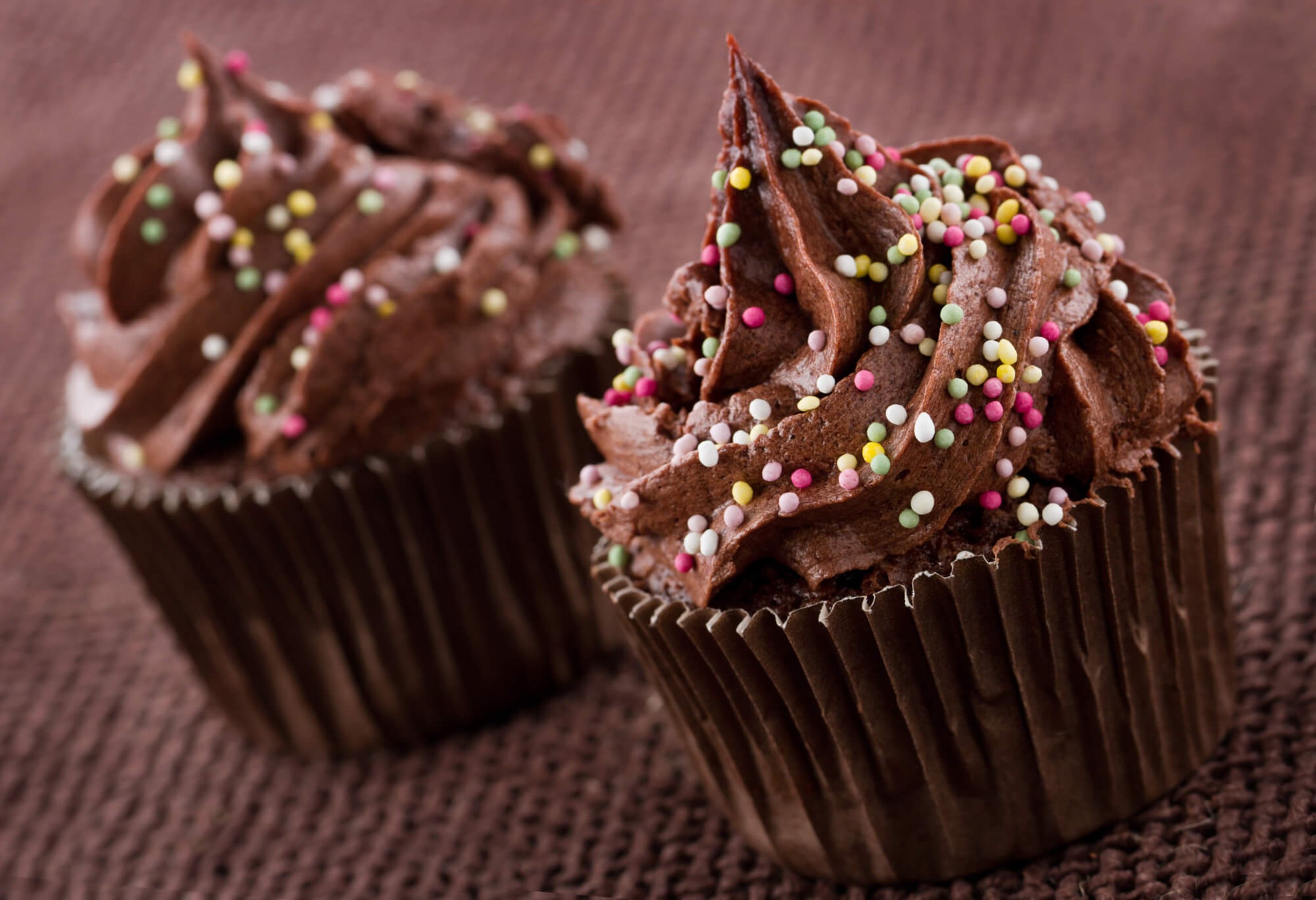 chocolate-cupcake-day-days-of-the-year-18th-october