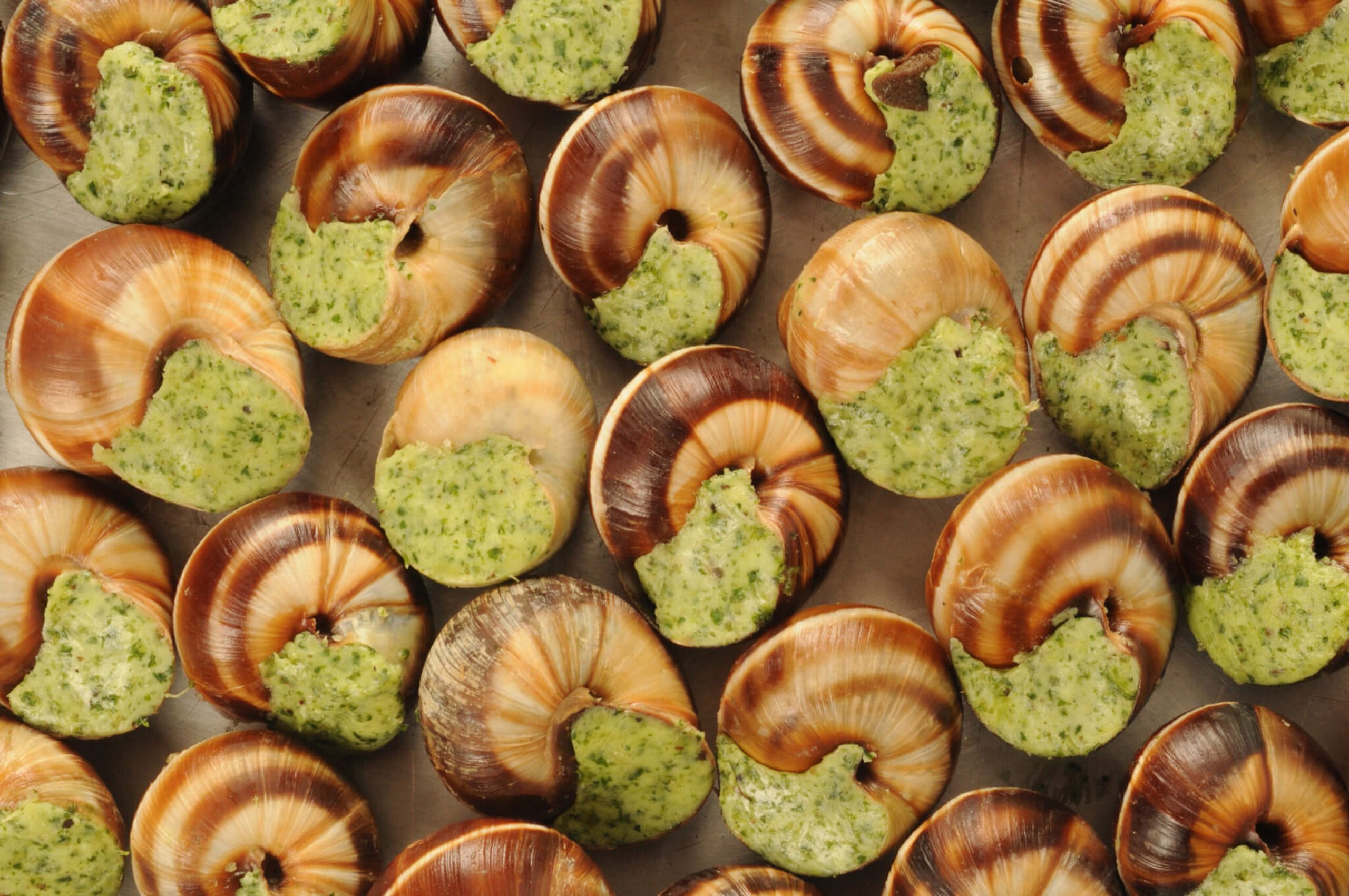 Escargot Day (24th May) Days Of The Year