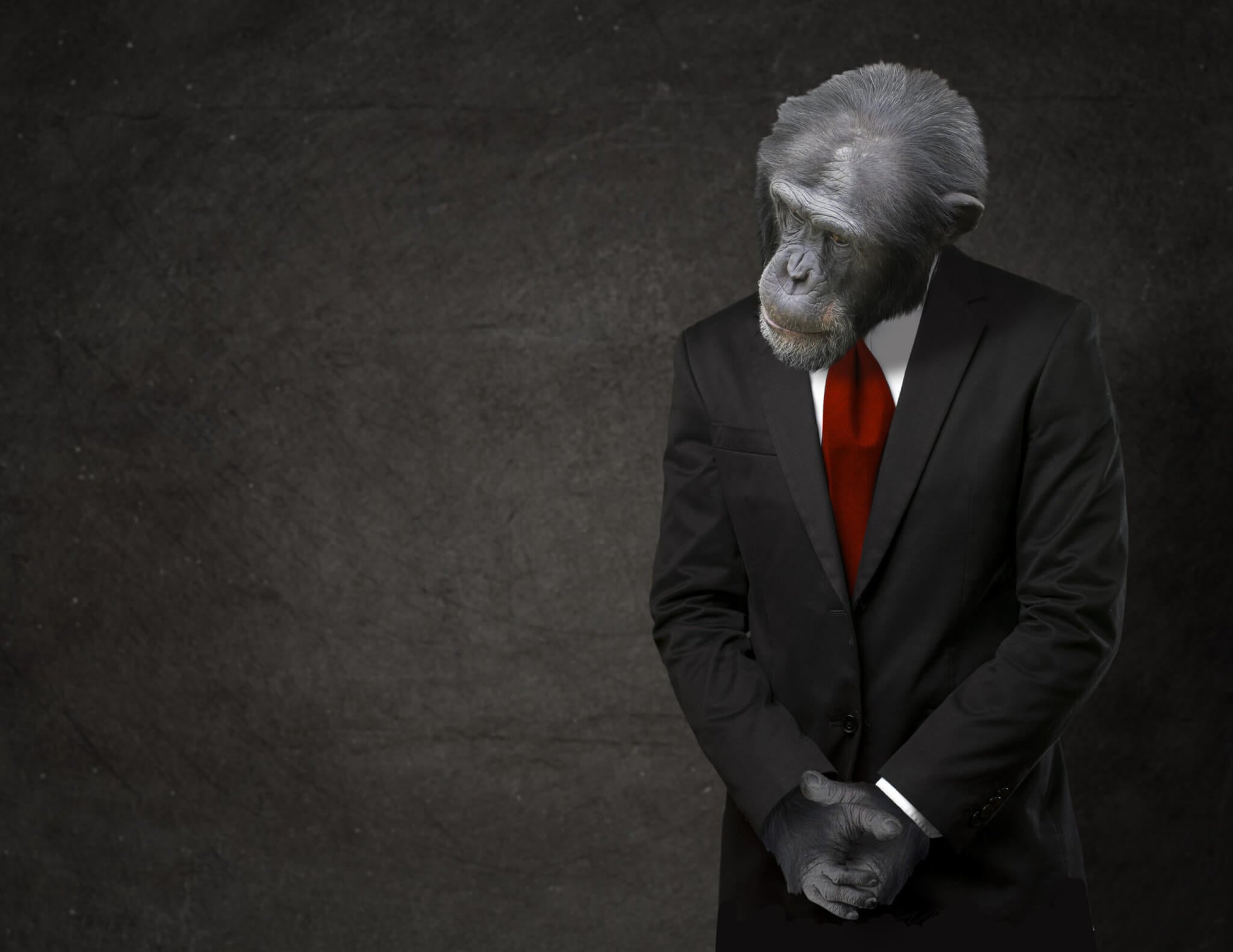 Gorilla Suit Day (31st January) Days Of The Year