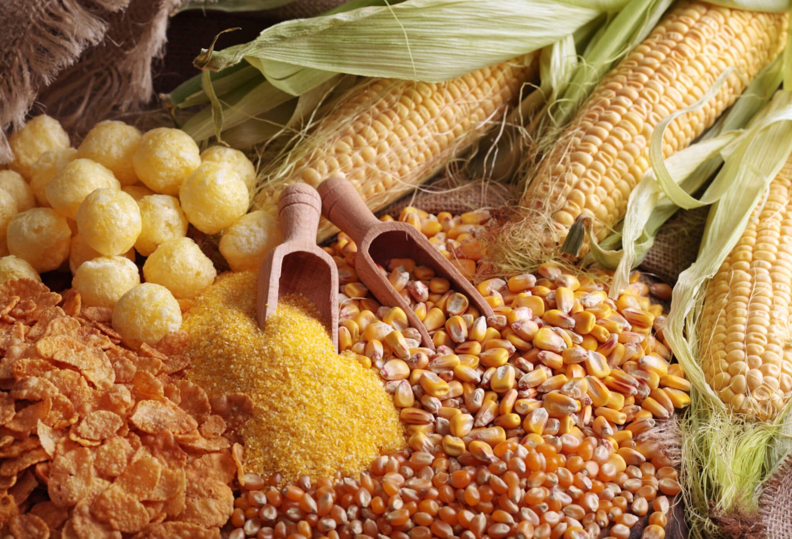 How Do You Make Maize Meal How Do You Make Maize Meal