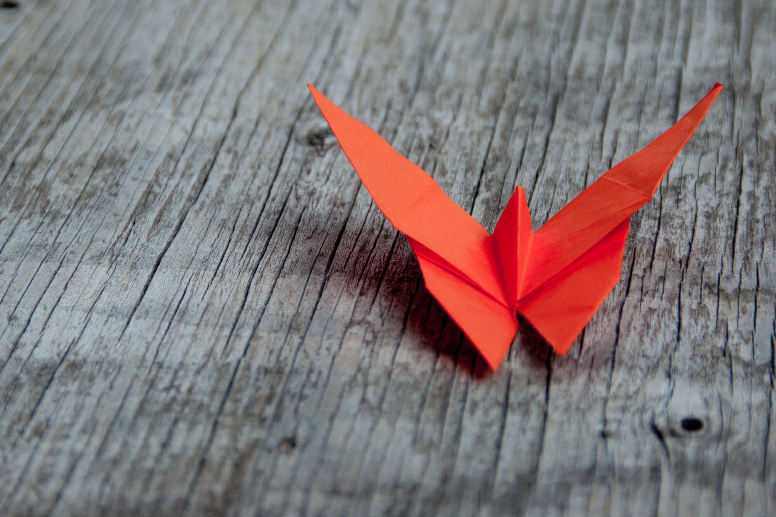 Origami Day (11th November) Days Of The Year