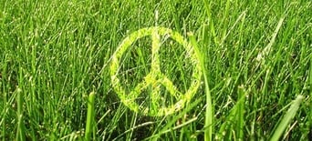 15th September Days Of The Year